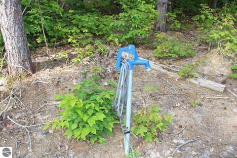 Tiny photo for 2750 NE Apple Creek Road, Kalkaska, MI 49646 (MLS # 1947520)