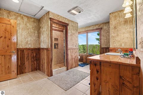 Tiny photo for 9465 W Old State Road, Central Lake, MI 49622 (MLS # 1945865)