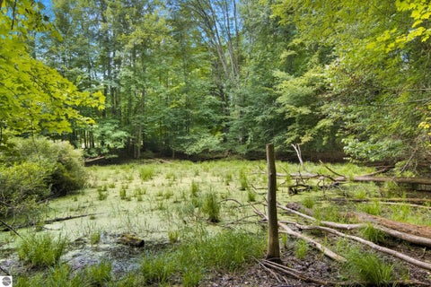 Tiny photo for 8220 Dell Road, Kingsley, MI 49649 (MLS # 1949460)