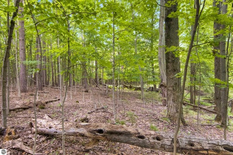 Tiny photo for 8220 Dell Road, Kingsley, MI 49649 (MLS # 1949460)