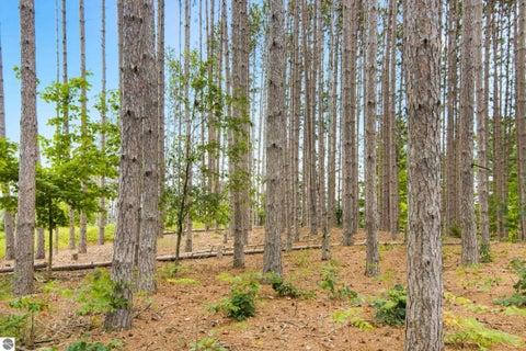 Tiny photo for 8220 Dell Road, Kingsley, MI 49649 (MLS # 1949460)