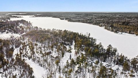 Tiny photo for 2505 Greenwood Drive, National City, MI 48748 (MLS # 1941887)