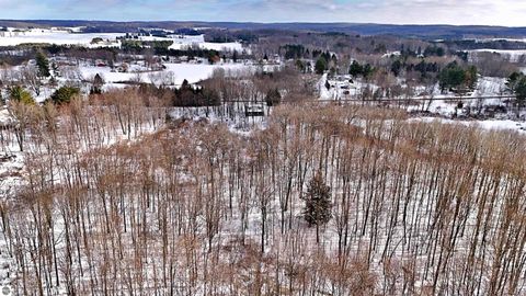 Tiny photo for 13787 170th Avenue, Leroy, MI 49655 (MLS # 1941693)