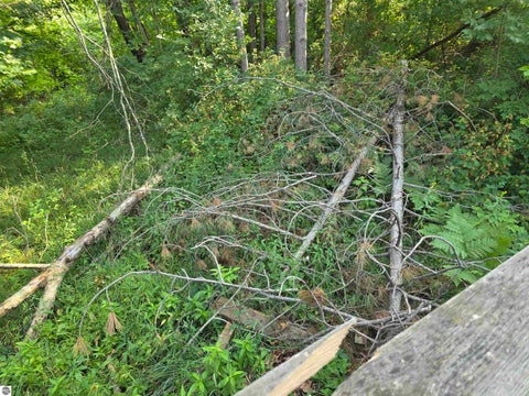 Tiny photo for 10593 S Mackinaw Trail, Cadillac, MI 49601 (MLS # 1948598)