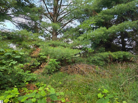 Tiny photo for 10593 S Mackinaw Trail, Cadillac, MI 49601 (MLS # 1948598)
