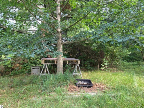 Tiny photo for 10593 S Mackinaw Trail, Cadillac, MI 49601 (MLS # 1948598)