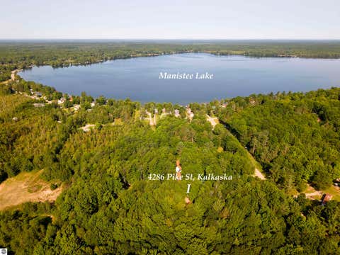 Tiny photo for 4286 NE Pike Street, Kalkaska, MI 49646 (MLS # 1948421)