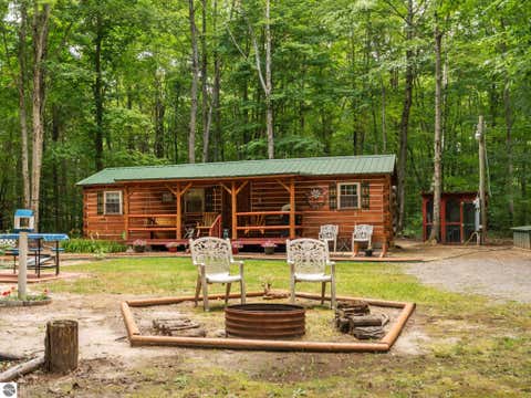 Tiny photo for 4286 NE Pike Street, Kalkaska, MI 49646 (MLS # 1948421)
