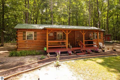 Tiny photo for 4286 NE Pike Street, Kalkaska, MI 49646 (MLS # 1948421)
