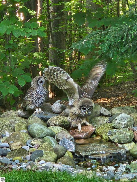 Tiny photo for 10509 S Monaco Way, Traverse City, MI 49684 (MLS # 1942735)