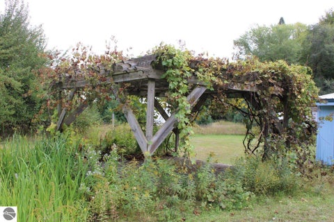 Tiny photo for 3989 SE Tyler Road, Kalkaska, MI 49646 (MLS # 1950892)