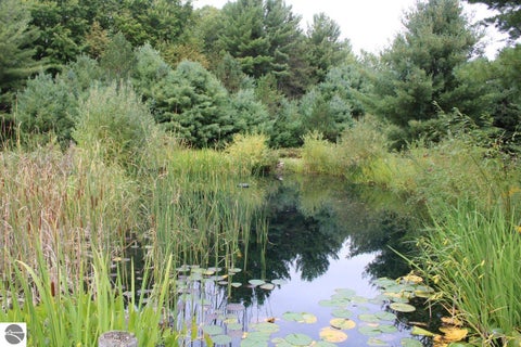 Tiny photo for 3989 SE Tyler Road, Kalkaska, MI 49646 (MLS # 1950892)