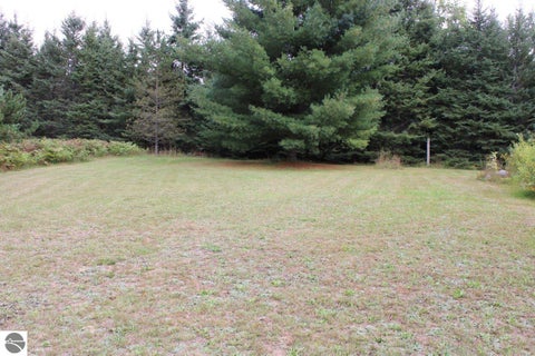 Tiny photo for 3989 SE Tyler Road, Kalkaska, MI 49646 (MLS # 1950892)