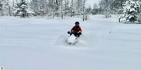 Tiny photo for 7033 NE WC Cross Drive, Kalkaska, MI 49659 (MLS # 1941869)