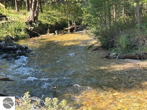 Tiny photo for 5730 Schuss Mountain Road, Bellaire, MI 49615 (MLS # 1951241)