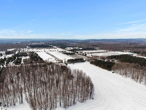 Tiny photo for 9888 N Wilson Road, Lake City, MI 49651 (MLS # 1941576)