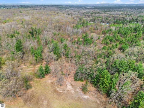 Tiny photo for 6595 Wickert Road, Hale, MI 48739 (MLS # 1945334)