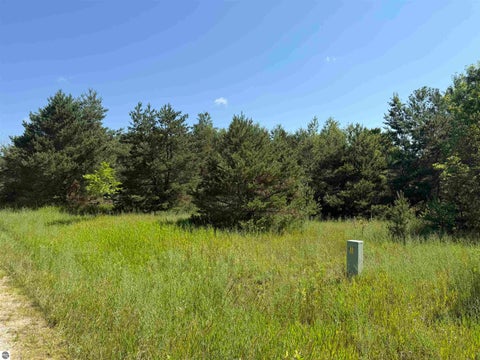Tiny photo for 8819 Harlan Road, Copemish, MI 49625 (MLS # 1947877)