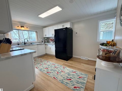 Tiny photo for 246 Robertson Street, Cadillac, MI 49601 (MLS # 1943146)