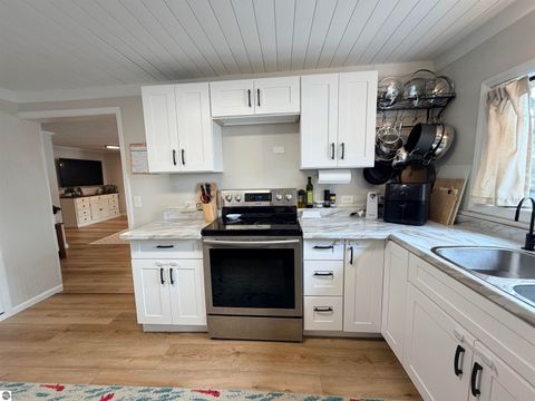 Tiny photo for 246 Robertson Street, Cadillac, MI 49601 (MLS # 1943146)