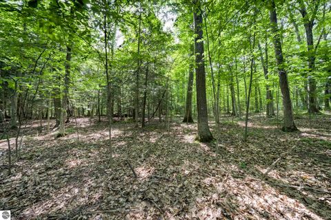Tiny photo for 4005 E Oxford Drive, Leland, MI 49654 (MLS # 1945155)