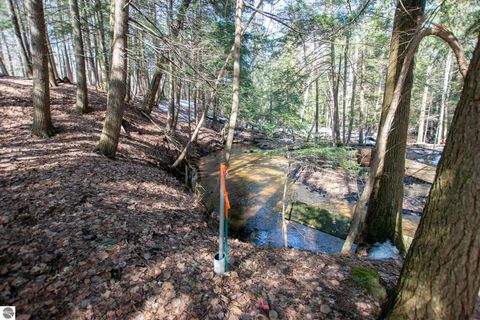 Tiny photo for 2171 N Belanger Creek Drive, Suttons Bay, MI 49682 (MLS # 1942837)
