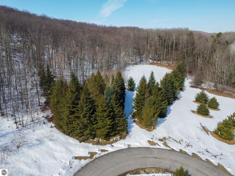 Photo of 2171 N Belanger Creek Drive, Suttons Bay, MI 49682 (MLS # 1942837)