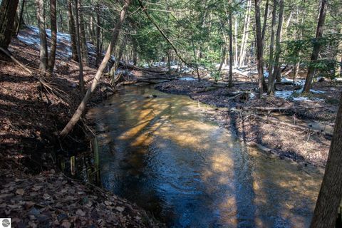 Tiny photo for 2171 N Belanger Creek Drive, Suttons Bay, MI 49682 (MLS # 1942837)