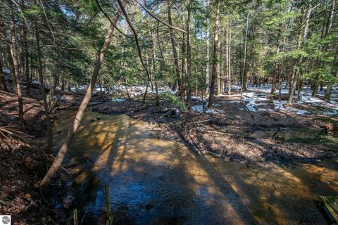 Tiny photo for 2171 N Belanger Creek Drive, Suttons Bay, MI 49682 (MLS # 1942837)