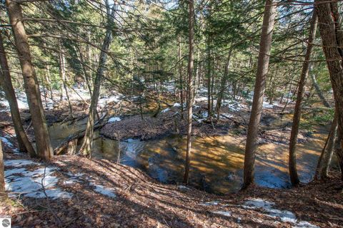 Tiny photo for 2171 N Belanger Creek Drive, Suttons Bay, MI 49682 (MLS # 1942837)