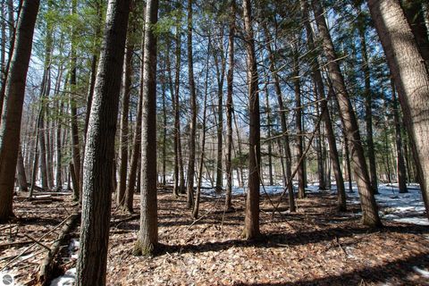Tiny photo for 2171 N Belanger Creek Drive, Suttons Bay, MI 49682 (MLS # 1942837)