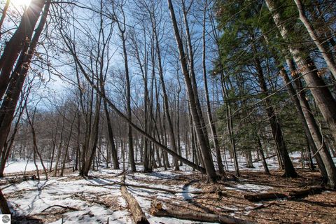 Tiny photo for 2171 N Belanger Creek Drive, Suttons Bay, MI 49682 (MLS # 1942837)