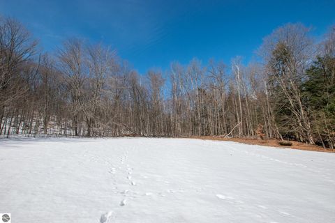 Tiny photo for 2171 N Belanger Creek Drive, Suttons Bay, MI 49682 (MLS # 1942837)