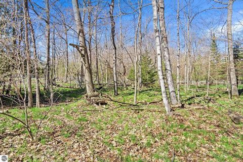 Tiny photo for 9045 North Pointe Woods DR, Charlevoix, MI 49720 (MLS # 1945279)