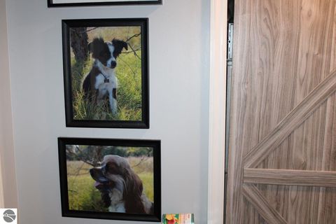 Tiny photo for 207 Division Street, Kalkaska, MI 49646 (MLS # 1942566)