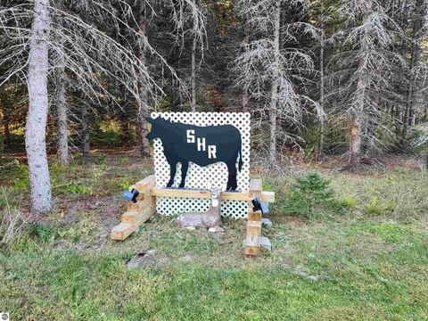 Tiny photo for 134 Menominee Trail, Buckley, MI 49620 (MLS # 1942343)