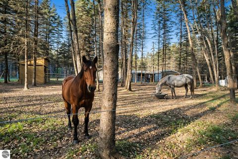 Photo of 134 Menominee Trail, Buckley, MI 49620 (MLS # 1942343)