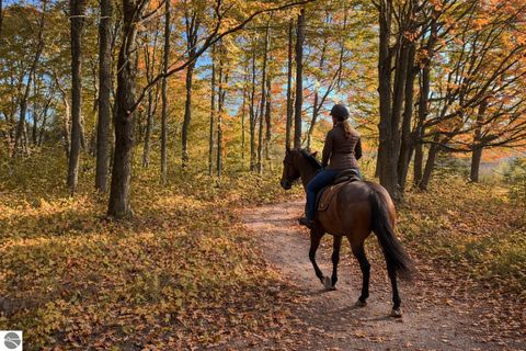 Tiny photo for 134 Menominee Trail, Buckley, MI 49620 (MLS # 1942343)