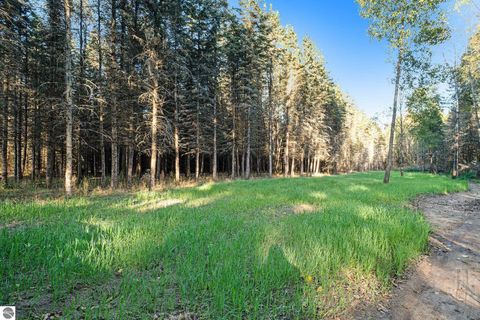 Tiny photo for 134 Menominee Trail, Buckley, MI 49620 (MLS # 1942343)