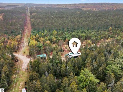 Tiny photo for 1910 W 46 Road, Cadillac, MI 49601 (MLS # 1945104)