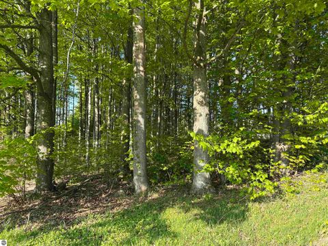 Tiny photo for 241 N Three Mile Road, Traverse City, MI 49696 (MLS # 1948129)
