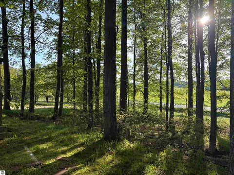 Tiny photo for 241 N Three Mile Road, Traverse City, MI 49696 (MLS # 1948129)