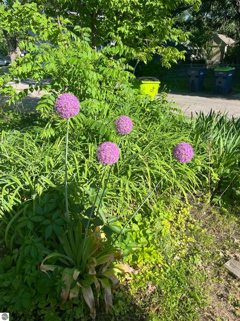 Tiny photo for 136 E Fifteenth Street, Traverse City, MI 49684 (MLS # 1943229)