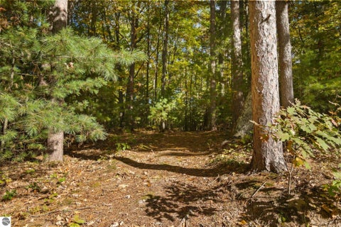 Tiny photo for 8669 Wheeler Pines Road, Williamsburg, MI 49690 (MLS # 1951596)