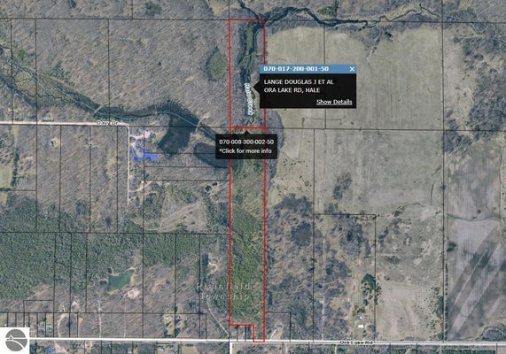 ORA LAKE RD, HALE, MI 48739 - Image dec6efc2a5fc54f4c95cecdaf13be4bd/1634151959