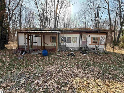 Tiny photo for 11221 SE Behlke Road, Fife Lake, MI 49633 (MLS # 1944207)