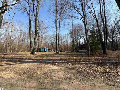 Tiny photo for 11221 SE Behlke Road, Fife Lake, MI 49633 (MLS # 1944207)