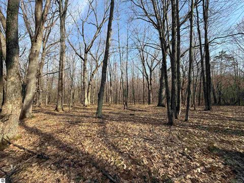 Tiny photo for 11221 SE Behlke Road, Fife Lake, MI 49633 (MLS # 1944207)
