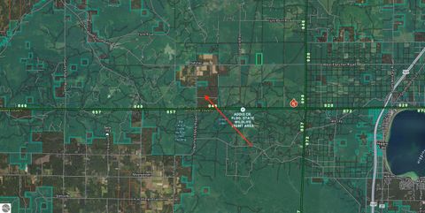 Tiny photo for 11221 SE Behlke Road, Fife Lake, MI 49633 (MLS # 1944207)