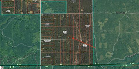 Tiny photo for 11221 SE Behlke Road, Fife Lake, MI 49633 (MLS # 1944207)